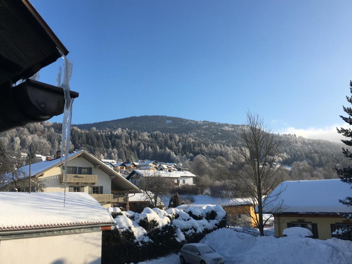 Pension Zum Rechen Bodenmais Exteriör bild
